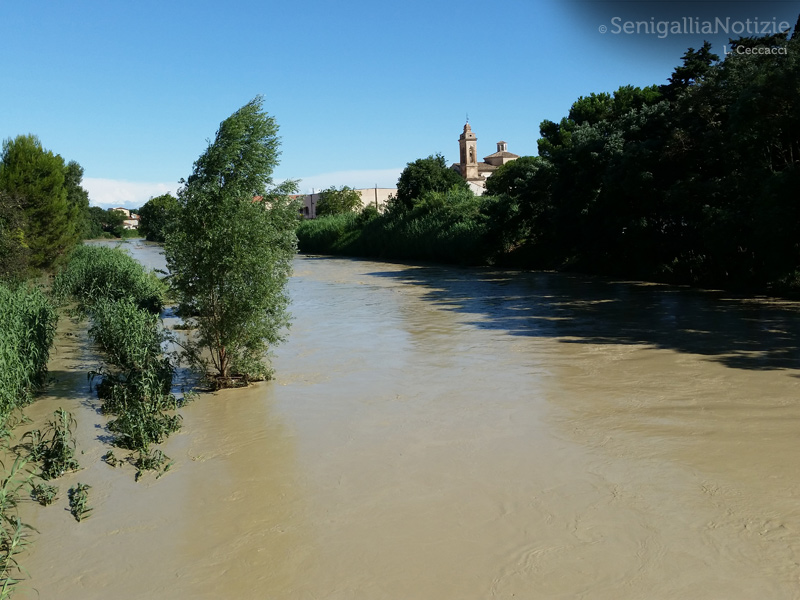 Senigallia: il fiume Misa in piena