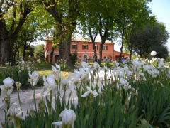 Un agriturismo nelle Marche