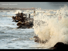 foto-giorno-lorenzo-ceccarelli -Vento e mare grosso