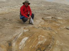 Claudio Di Celma e il fossile rinvenuto