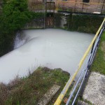 Inquinamento del Torrente Giano, Fabriano