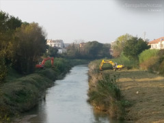 Le ruspe sul fiume Misa di Senigallia per gli interventi di manutenzioen idraulica e messa in sicurezza