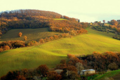 Lo scatto di Luigi Alesi delle colline di San Severino Marche su Focus.it
