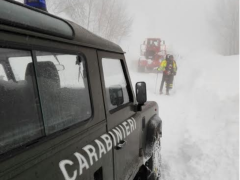 Interventi dei Carabinieri Forestali