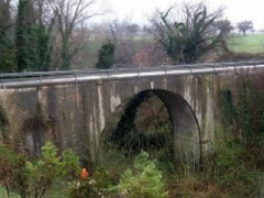 Ponte sul torrente Pavanella a Grottaccia