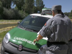 Carabinieri Forestali