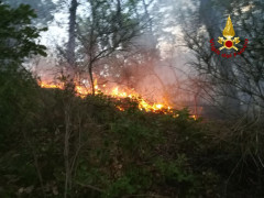 Incendio a Serra San Quirico, a fuoco la vegetazione