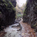 Gola dell'infernaccio: il percorso naturalistico