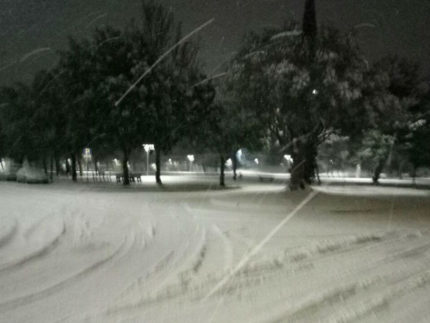 Neve a Senigallia