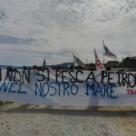 Trivelle: oltre cento in spiaggia Ancona