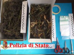 Arresto per coltivazione e spaccio di marijuana