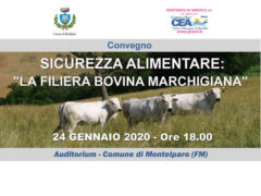 Convegno a Montelparo sulla filiera bovina marchigiana