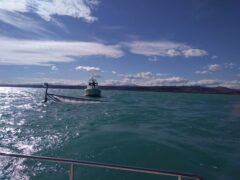 Catamarano scuffiato al largo di Campofilone