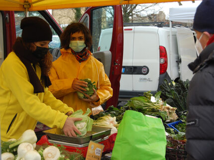 Giovani in agricoltura