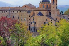 Urbino