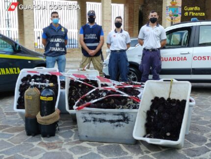 Sequestro di ricci di mare