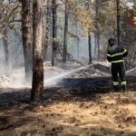 Bosco in fiamme a Camerino