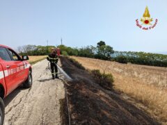 Incendio di sterpaglie a Porto San Giorgio
