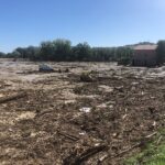 Campi invasi dalla legna dopo l'alluvione del 15 settembre