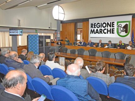 Incontro in Regione Marche con sindaci dei Comuni colpiti dall'alluvione del 15 settembre 2022