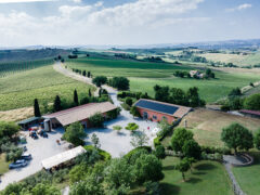 Tenuta di Tavignano di Cingoli