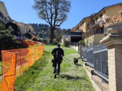 Cinofili dei Carabinieri Forestali a San Severino