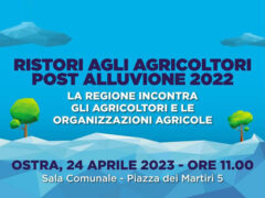 Ristori post-alluvione: Regione Marche incontra agricoltori