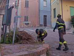 Forte vento: intervento del Vigili del Fuoco a Montignano di Senigallia