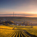 Innovazione nel settore agricolo