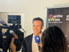 Gusti di Marche - presentazione eventi 2024