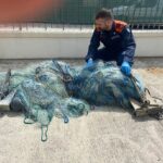 Controlli della Guardia Costiera