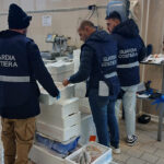 Controlli della Guardia Costiera presso un grossista di pesce
