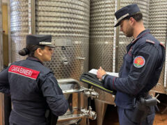 Carabinieri Forestali: perquisizioni per presunte truffe nel settore vitivinicolo