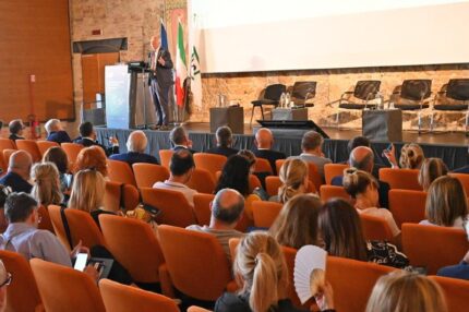 L'innovazione nel Sistema Sanitario Nazionale – Il Fascicolo Sanitario Elettronico per modernizzare la Sanità