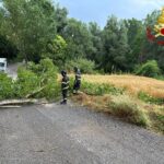 Maltempo: intervento VVFF a Gozzano di Ripatransone