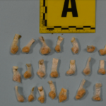 Cocaina sequestrata a Fermo