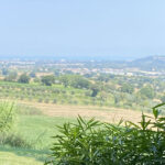 Il panorama dal Ristorante La Collina da Pifin di Castelvecchio di Monte Porzio