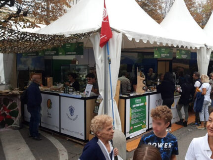 Stand Slow Food Marche a Cheese