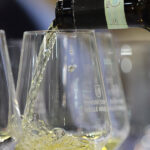 Verdicchio, calice di vino