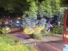 Neve sulle Marche tra il 5 e il 7 gennaio 2026: interventi dei Vigili del Fuoco