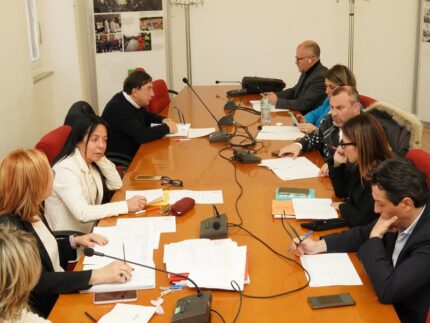 Commissione Affari Istituzionali