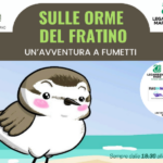 "Sulle orme del fratino" a Fano