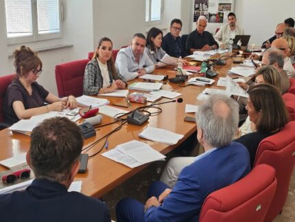 Audizioni salute mentale