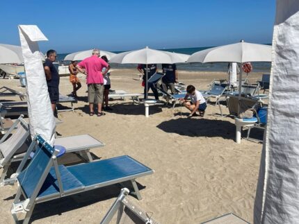 Nido di tartaruga marina in spiaggia a Senigallia